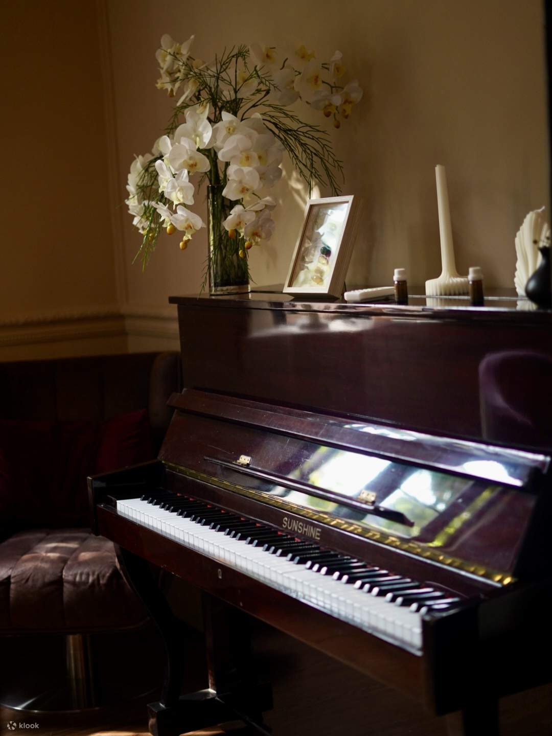 Forest Natural Healing Space SPA | Filiale Dongshankou